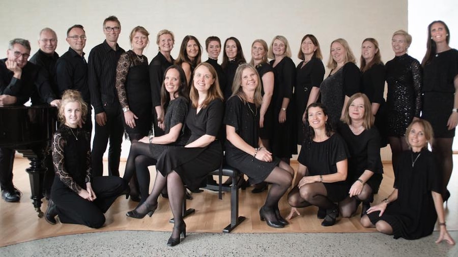 Kammerkoret Vardåsen Vox Cordis