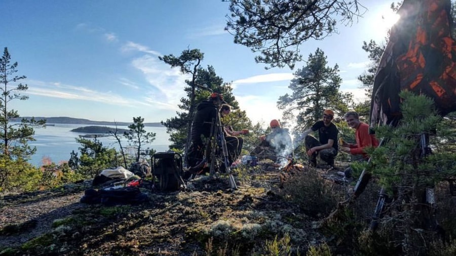 Skog