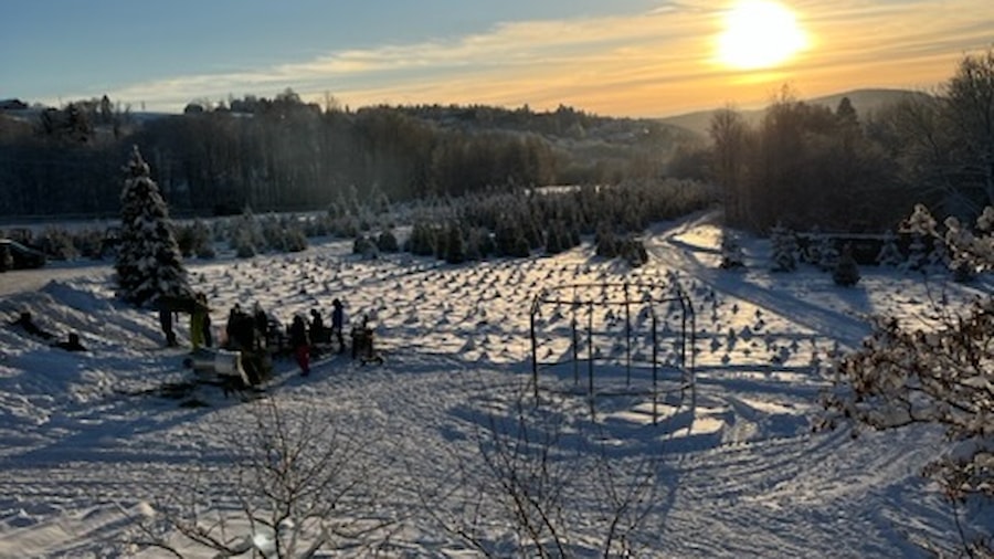 Snølandskap